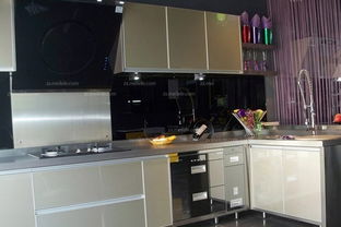 最新不銹鋼廚具品牌排行榜